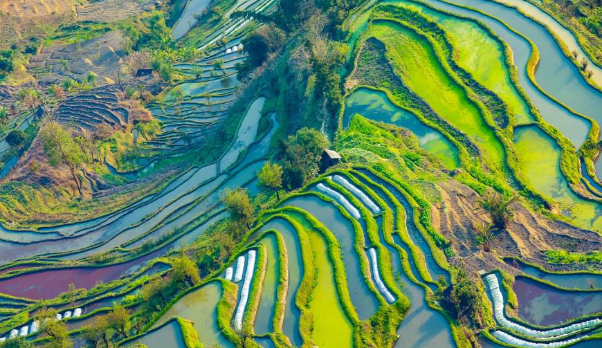 宝妈必备神器：蕉城区产品视频拍摄轻松育儿好帮手