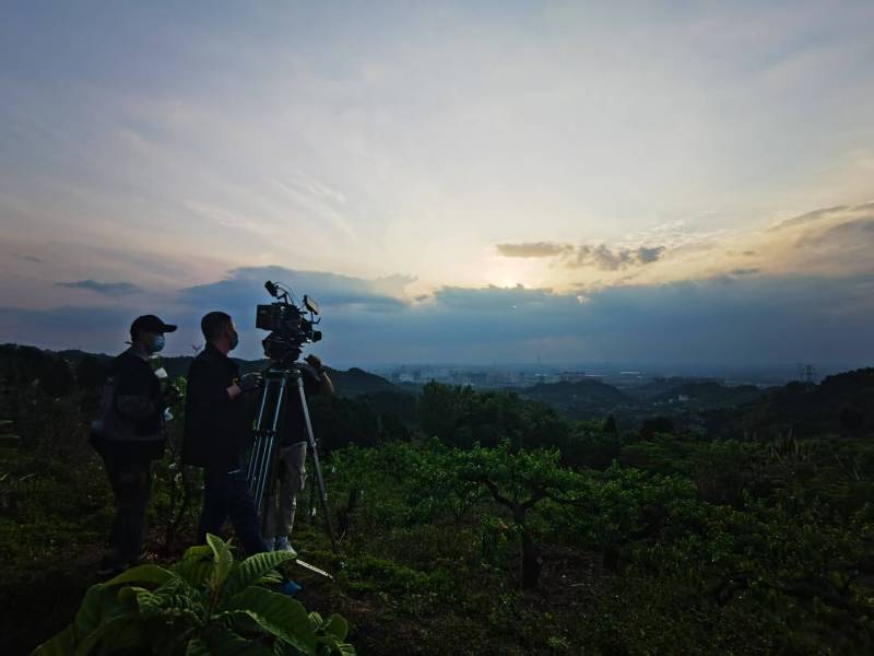 聚焦蕉城区产品宣传视频拍摄公司，用专业实力铸就品牌传播传奇